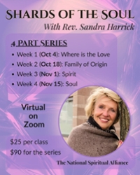 Shards of the Soul Class #4 Soul